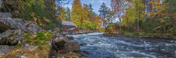 Młyn Myllykoski, Park Narodowy Oulanka, Finlandia, Laponia, Drewniany, Drzewa, Rzeka, Jesień