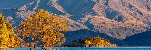 Jesień, Drzewo, Góry, Nowa Zelandia, Pochylone, Jezioro Wanaka
