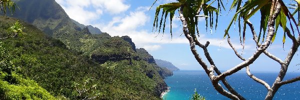 Hawaje, Zatoka, Wailua Bay, Palmy, Góry, Wyspa Kauai, Morze