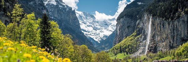 Chmury, Kwiaty, Alpy, Wodospad, Lauterbrunnen, Kanton Bern, Drzewa, Staubbachfall, Dolina Lauterbrunnental, Szwajcaria, Domy, Góry