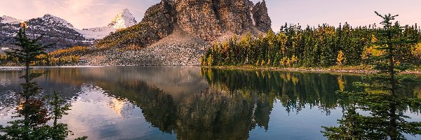 Góry, Prowincja Alberta, Wschód słońca, Drzewa, Jezioro Sunburst, Mount Assiniboine, Lasy, Kanada