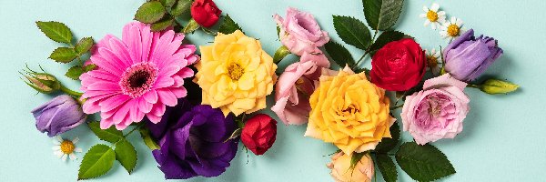 Gerbera, Róże, Kwiaty