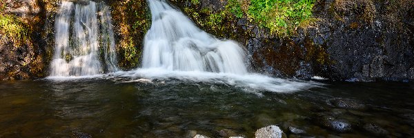 Wodospad, Skały, Potok, Rośliny, Kamienie
