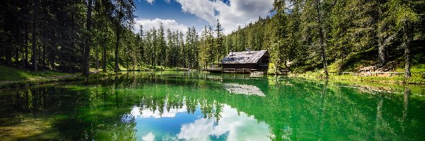 Drzewa, Jezioro, Lago Ghedina, Cortina d Ampezzo, Włochy, Las, Dom