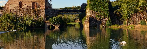 Valeggio sul Mincio, Łabędź, Ruiny, Włochy, Most, Rzeka Mincio