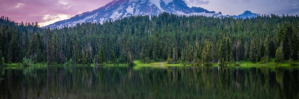 Stany Zjednoczone, Jezioro, Drzewa, Góry, Park Narodowy Mount Rainier, Stan Waszyngton, Chmury
