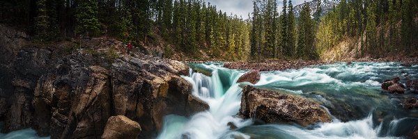 Głazy, Skały, Sunwapta River, Rzeka, Wodospad Sunwapta Falls, Kanada, Alberta, Park Narodowy Jasper, Drzewa