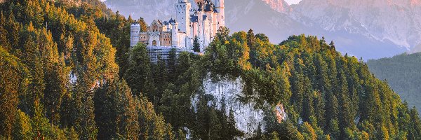 Niemcy, Zamek Neuschwanstein, Drzewa, Alpy, Góry, Bawaria, Skały