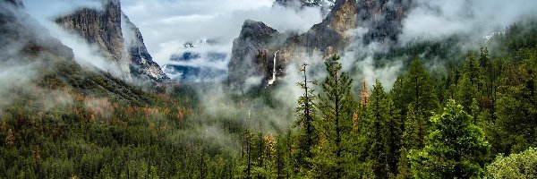 Góry, Kalifornia, Mgła, Dolina, Park Narodowy Yosemite, Skały, Drzewa, Stany Zjednoczone