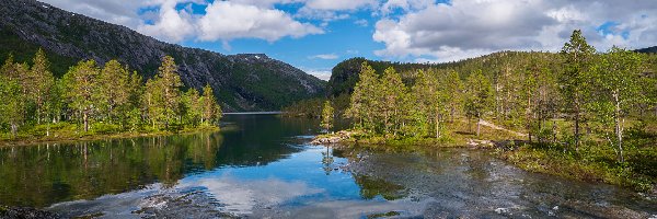 Kamienie, Rzeka, Park Narodowy Rago, Nordland, Norwegia, Chmury, Drzewa, Góry, Las