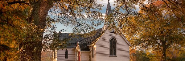 Nowa Zelandia, Kościół, Christ Church, Jesień, Drzewo, Region Hawkes Bay, Liście