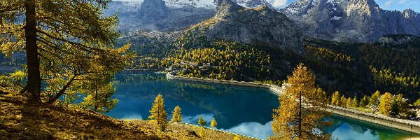 Prowincja Belluno, Góry, Drzewa, Włochy, Fedaia Lake, Jezioro