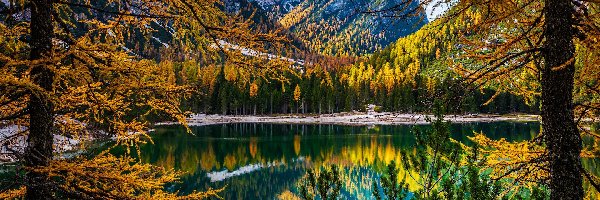 Tyrol, Dolomity, Lago di Braies, Pragser Wildsee, Jezioro, Drzewa, Jesień, Góry, Włochy