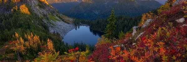 Jesień, Skały, Drzewa, Jezioro, Góry, Roślinność, Kolorowa