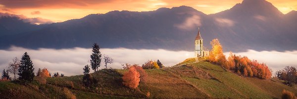 Słowenia, Góry, Drzewa, Wzgórze, Kościół św Primusa i Felicjana, Wieś Jamnik, Jesień