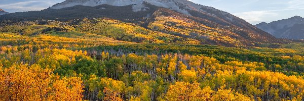 Kebler Pass, Kolorado, Jesień, Lasy, Przełęcz, Góry, Drzewa, Stany Zjednoczone