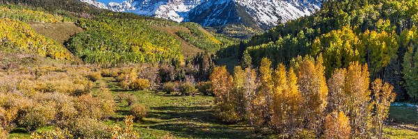 Jesień, Drzewa, Góra Mount Sneffels, San Juan Mountains, Góry, Stany Zjednoczone, Kolorado, Lasy, Polana