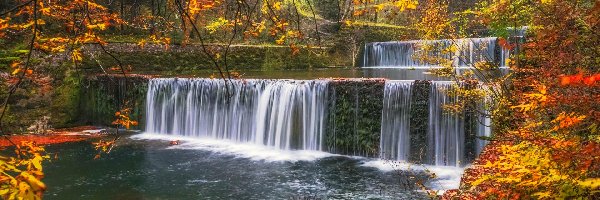 Jesień, Kamienie, Liście, Wodospad, Las, Gałęzie, Drzewa