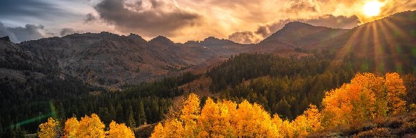 Drzewa, Kalifornia, Promienie słońca, Chmury, Sonora Pass, Jesień, Góry, Stany Zjednoczone, Region Eastern Sierra, Słońce