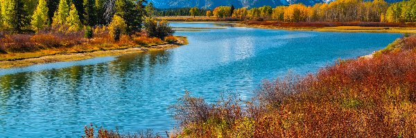 Jesień, Rzeka, Stany Zjednoczone, Trawy, Góry, Teton Range, Drzewa, Park Narodowy Grand Teton, Snake River, Stan Wyoming