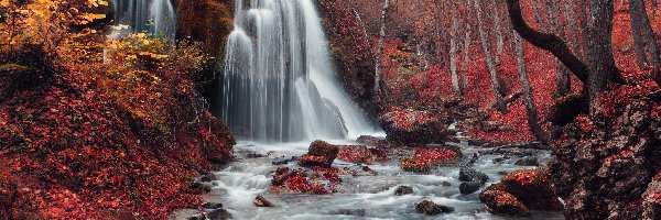 Jesień, Kamienie, Liście, Wodospad, Rzeka, Drzewa, Las