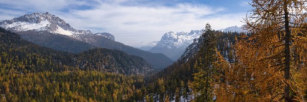 Jesień, Szczyty, Włochy, Drzewa, Dolomity, Dolina, Lasy, Ośnieżone, Góry, Południowy Tyrol