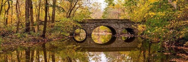 Most, Kamienny, Sharonville, Stan Ohio, Stany Zjednoczone, Jesień, Drzewa, Park Sharon Woods, Rzeka
