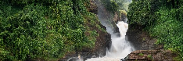 Uganda, Skały, Zielone, Murchison Falls, Wodospad, Park Narodowy Wodospadu Murchisona, Drzewa