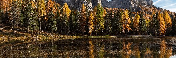 Jesień, Odbicie, Góry, Drzewa, Jezioro