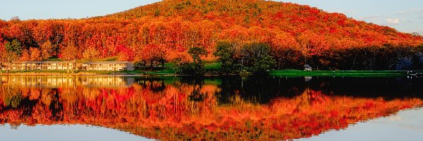 Jesień, Drzewa, Wzgórze, Odbicie, Las, Jezioro