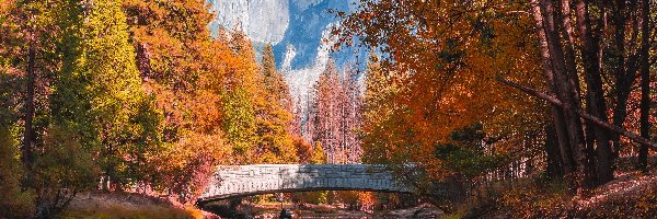 Most, Kalifornia, Jesień, Rzeka, Góry, Góra, Half Dome, Stany Zjednocznone, Park Narodowy Yosemite, Drzewa