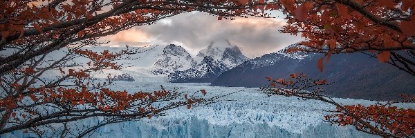 Argentyna, Góry, Drzewo, Perito Moreno, Lodowiec, Patagonia, Park Narodowy Los Glaciares