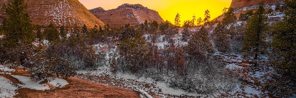 Zima, Stan Utah, Checkerboard Mesa, Góra, Stany Zjednoczone, Śnieg, Drzewa, Park Narodowy Zion