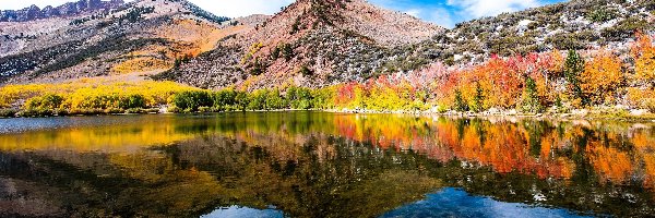 Jesień, Góry, Jezioro, Kalifornia, Stany Zjednoczone, Drzewa, North Lake