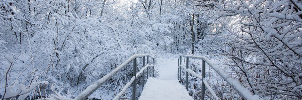 Zima, Drzewa, Śnieg, Most, Las