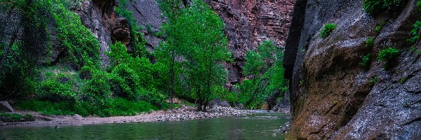 Kanion Zion Narrows, Stan Utah, Virgin River, Rzeka, Park Narodowy Zion, Skały, Kamienie, Stany Zjednoczone