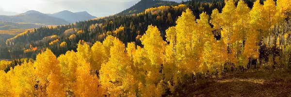 Jesień, Żółte, Góry, Niebo, Drzewa