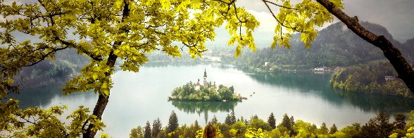 Gałęzie, Jezioro Bled, Wyspa Blejski Otok, Słowenia, Dziewczyna, Drzewa, Kościół Zwiastowania Marii Panny