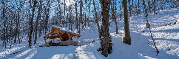 Śnieg, Drzewa, Altana, Zima