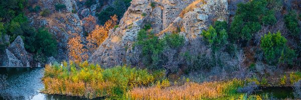 Rzeka Malibu Creek, Kalifornia, Roślinność, Skały, Park stanowy Malibu Creek, Trawy, Góry, Stany Zjednoczone