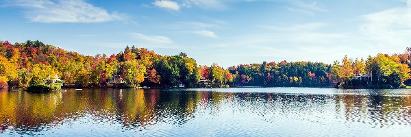 Drzewa, Jezioro Greenwood, Kolorowe, Jesień, Karolina Południowa, Stany Zjednoczone