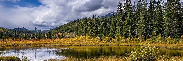 Park Narodowy Jasper, Drzewa, Kanada, Chmury, Trawa, Szczyty, Góry, Jezioro, Świerki, Alberta