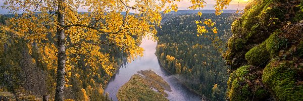 Jesień, Drzewa, Pożółkłe, Rzeka, Brzoza