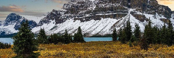 Świerki, Góry, Prowincja, Jezioro, Kanada, Bow Lake, Drzewa, Park Narodowy Banff, Polana, Chmury, Alberta