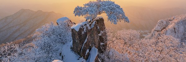 Park Prowincjonalny Daedunsan, Wschód słońca, Korea Południowa, Sosna, Skały, Ośnieżone, Drzewa, Zima, Góry, Prowincja Jeolla Północna