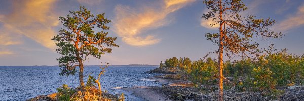 Drzewa, Jezioro Ładoga, Skały, Rosja, Karelia