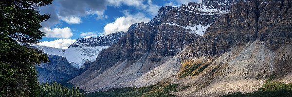 Bow Lake, Jezioro, Crowfoot Mountain, Góra, Góry, Alberta, Kanada, Drzewa, Park Narodowy Banff