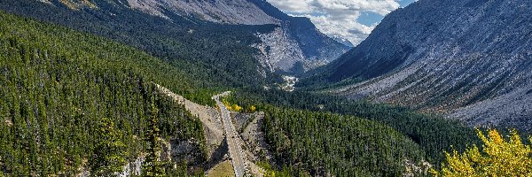 Droga, Dolina, Kanada, Alberta, Lasy, Icefields Parkway, Drzewa, Góry Skaliste