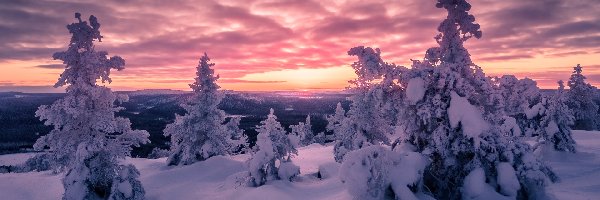 Finlandia, Drzewa, Zachód słońca, Ośnieżone, Zima, Laponia, Sallatunturi