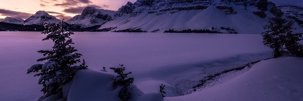 Park Narodowy Banff, Góry, Kanada, Drzewa, Zaśnieżone, Jezioro, Bow Lake, Zima, Góra Crowfoot Mountain, Alberta